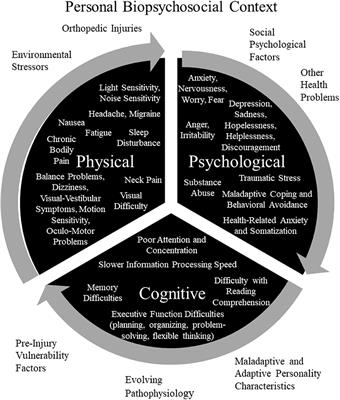 Network Analysis and Precision Rehabilitation for the Post-concussion Syndrome